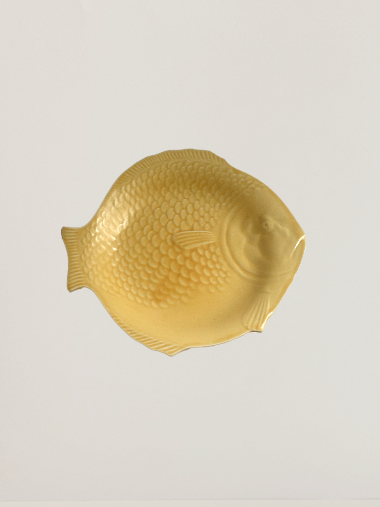 Fish Form Plate