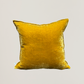 Silk velvet cushions